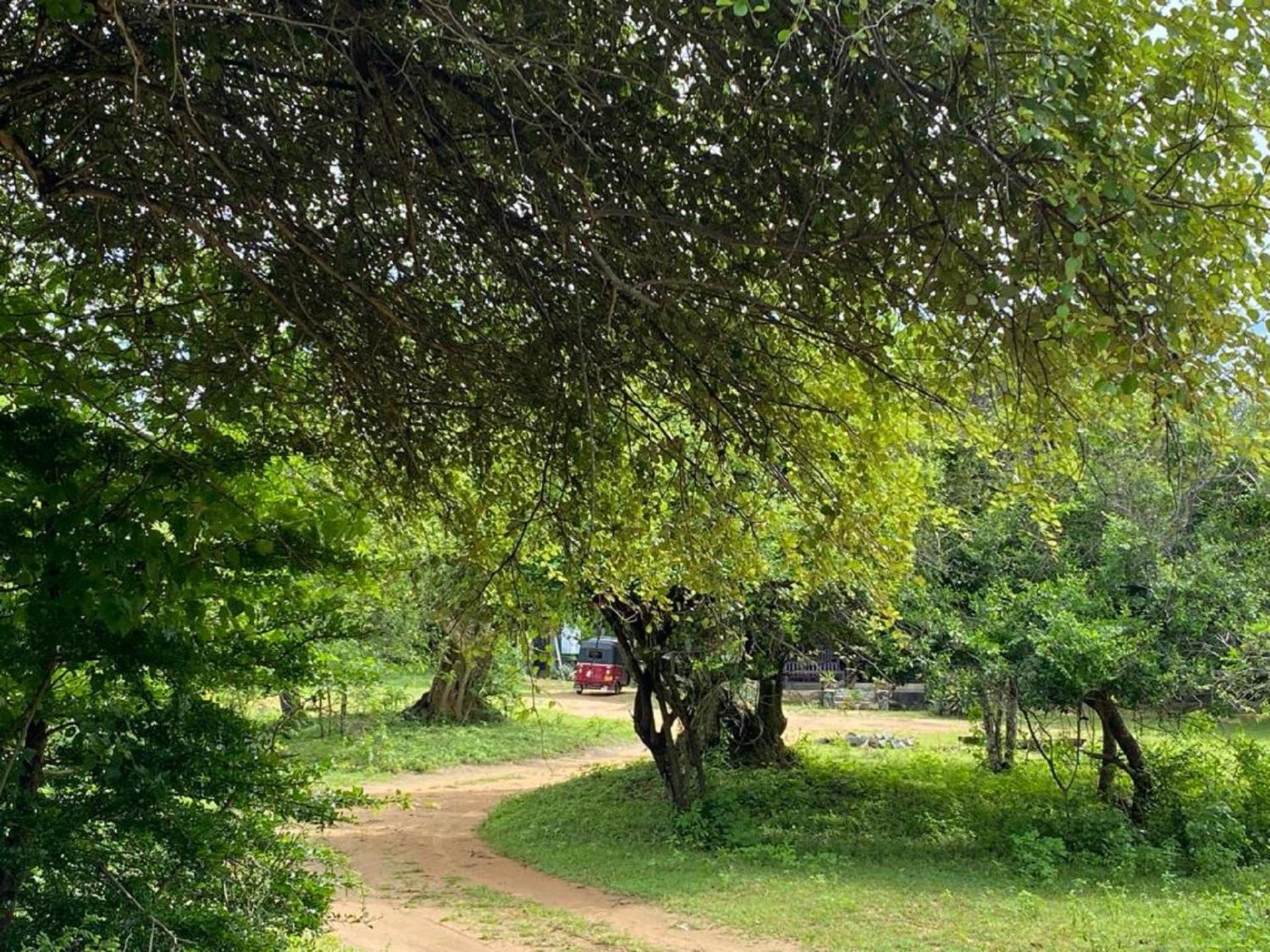 Yala Ying Yang Hostel & Camping Luaran gambar