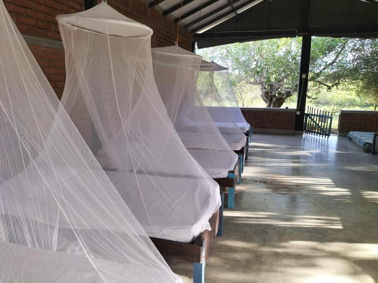 Yala Ying Yang Hostel & Camping Luaran gambar